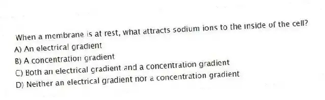  When a membrane is at rest, what attracts sodium ions to the inside of the cell?
A) An electrical gradient
B) A concentration gradient
C) Both an electrical gradient and a concentration gradient
D) Neither an electrical gradient nor a concentration gradient
