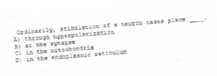 Ordinarily, stimulation of a neuron takes place ____.
A) through hyperpolarization
B) at the synapse
C) in the mitochondria
D) in the endoplasmic reticulum