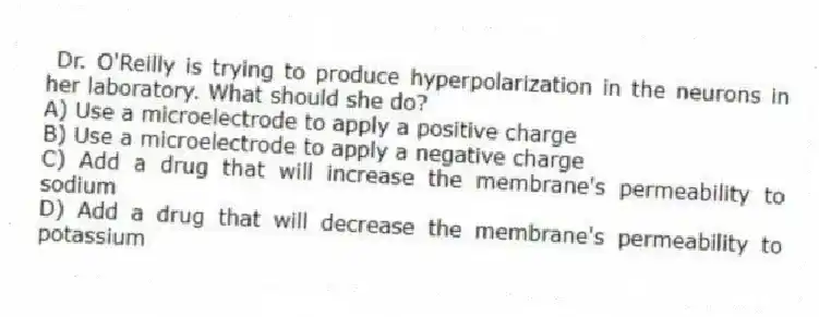 Dr. O'Reilly is trying to produce hyperpolarization in the neurons in her laboratory. What should she do?
A) Use a microelectrode to apply a positive charge
B) Use a microelectrode to apply a negative charge
C) Add a drug that will increase the membrane's permeability to sodium
D) Add a drug that will decrease the membrane's permeability to potassium