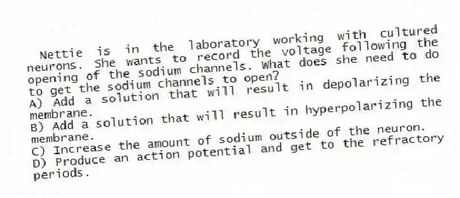 Nettie is in the laboratory working with cultured neurons. She wants to record the voltage following the opening of the sodium channels. What does she need to do to get the sodium channels to open?
A) Add a solution that will result in depolarizing the membrane.
B) Add a solution that will result in hyperpolarizing the membrane.
C) Increase the amount of sodium outside of the neuron.
D) Produce an action potential and get to the refractory periods.