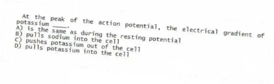 At the peak of the action potential, the electrical gradient of potassium ____.
A) is the same as during the resting potential
B) pulls sodium into the cell
C) pushes potassium out of the cell
D) pulls potassium into the cell