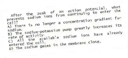 After the peak of an action potential, what prevents sodium ions from continuing to enter the cell?
A) There is no longer a concentration gradient for sodium.
B) The sodium-potassium pump greatly increases its rate of activity.
C) All the available sodium ions have already entered the cell.
D) The sodium gates in the membrane close.