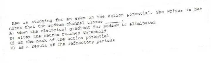Mae is studying for an exam on the action potential. She writes in her notes that the sodium channel closes ______.
A) when the electrical gradient for sodium is eliminated
B) after the neuron reaches threshold
C) at the peak of the action potential
D) as a result of the refractory periods