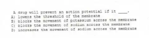 A drug will prevent an action potential if it ____.
A) lowers the threshold of the membrane
B) blocks the movement of potassium across the membrane
C) blocks the movement of sodium across the membrane
D) increases the movement of sodium across the membrane