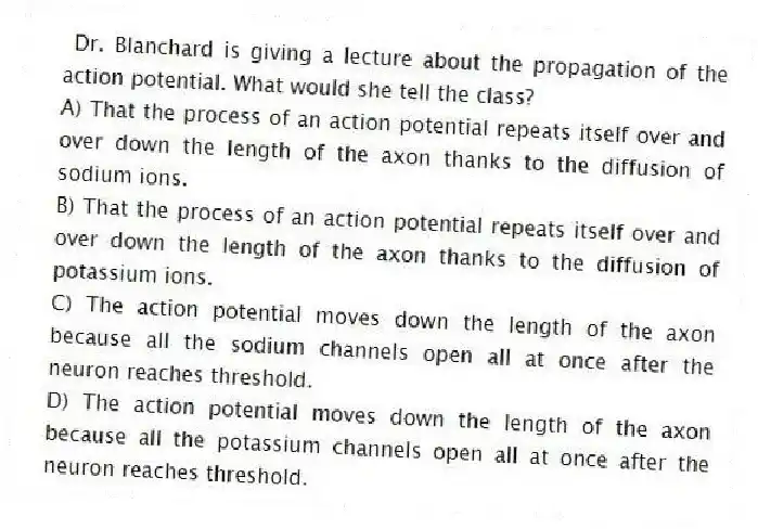  Dr. Blanchard is giving a lecture about the propagation of the action potential. What would she tell the class?
A) That the process of an action potential repeats itself over and over down the length of the axon thanks to the diffusion of sodium ions.
B) That the process of an action potential repeats itself over and over down the length of the axon thanks to the diffusion of potassium ions.
C) The action potential moves down the length of the axon because all the sodium channels open all at once after the neuron reaches threshold.
D) The action potential moves down the length of the axon because all the potassium channels open all at once after the neuron reaches threshold.