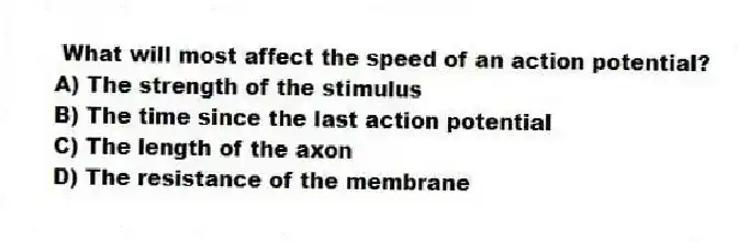What will most affect the speed of an action potential?
A) The strength of the stimulus
B) The time since the last action potential
C) The length of the axon
D) The resistance of the membrane