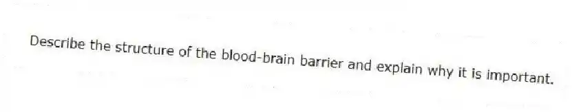 Describe the structure of the blood-brain barrier and explain why it is important.