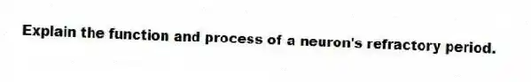 Explain the function and process of a neuron's refractory period.