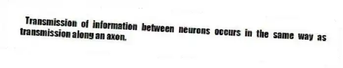  Transmission of information between neurons occurs in the same way as transmission along an axon.