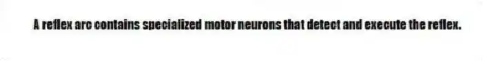 A reflex arc contains specialized motor neurons that detect and execute the reflex.