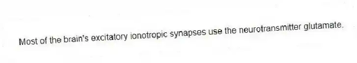 Most of the brain's excitatory ionotropic synapses use the neurotransmitter glutamate.