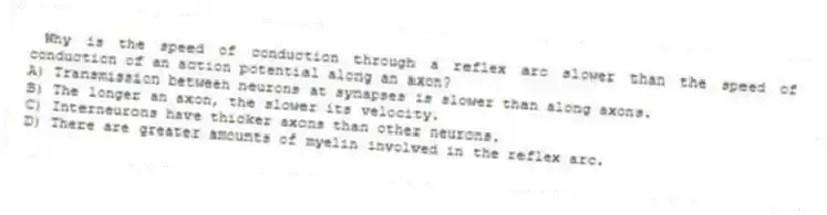 Why is the speed of conduction through a reflex arc slower than the speed of conduction of an action potential along an axon?
A) Transmission between neurons at synapses is slower than along axons.
B) The longer an axon, the slower its velocity.
C) Interneurons have thicker axons than other neurons.
D) There are greater amounts of myelin involved in the reflex arc.