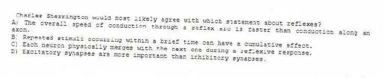 Charles Sherrington would most likely agree with which statement about reflexes?
A) The overall speed of conduction through a reflex arc is faster than conduction along an axon.
B) Repeated stimuli occurring within a brief time can have a cumulative effect.
C) Each neuron physically merges with the next one during a reflexive response.
D) Excitatory synapses are more important than inhibitory synapses.