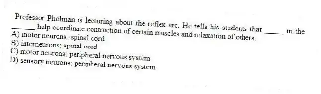 Professor Pholman is lecturing about the reflex arc. He tells his students that _____ in the ______ help coordinate contraction of certain muscles and relaxation of others.
A) motor neurons; spinal cord
B) interneurons; spinal cord
C) motor neurons; peripheral nervous system
D) sensory neurons; peripheral nervous system