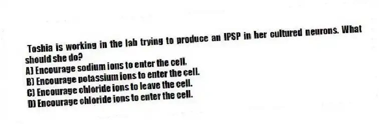 Toshia is working in the lab trying to produce an IPSP in her cultured neurons. What should she do?
A) Encourage sodium ions to enter the cell.
B) Encourage potassium ions to enter the cell.
C) Encourage chloride ions to leave the cell.
D) Encourage chloride ions to enter the cell.