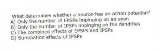 What determines whether a neuron has an action potential?
A) Only the number of EPSPs impinging on an axon
B) Only the number of IPSPs impinging on the dendrites
C) The combined effects of EPSPs and IPSPs
D) Summation effects of IPSPs