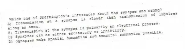  Which one of Sherrington's inferences about the synapse was wrong?
A) Transmission at a synapse is slower than transmission of impulses along an axon.
B) Transmission at the synapse is primarily an electrical process.
C) Synapses can be either excitatory or inhibitory.
D) Synapses make spatial summation and temporal summation possible.