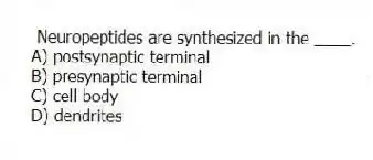 Neuropeptides are synthesized in the ____.
A) postsynaptic terminal
B) presynaptic terminal
C) cell body
D) dendrites