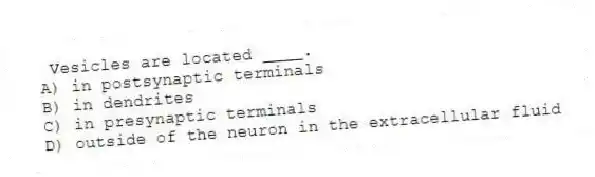Vesicles are located ____.
A) in postsynaptic terminals
B) in dendrites
C) in presynaptic terminals
D) outside of the neuron in the extracellular fluid