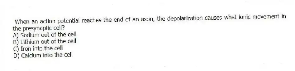 When an action potential reaches the end of an axon, the depolarization causes what ionic movement in the presynaptic cell?
A) Sodium out of the cell
B) Lithium out of the cell
C) Iron into the cell
D) Calcium into the cell