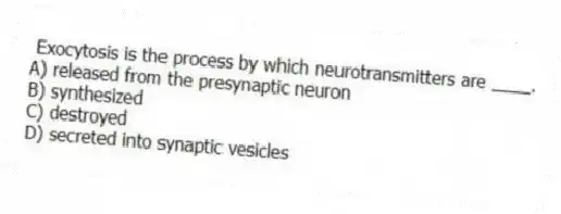 Exocytosis is the process by which neurotransmitters are ____.
A) released from the presynaptic neuron
B) synthesized
C) destroyed
D) secreted into synaptic vesicles