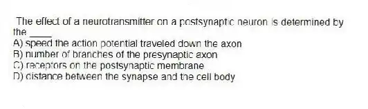 The effect of a neurotransmitter on a postsynaptic neuron is determined by the ____.
A) speed the action potential traveled down the axon
B) number of branches of the presynaptic axon
C) receptors on the postsynaptic membrane
D) distance between the synapse and the cell body