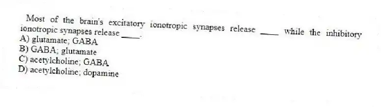 Most of the brain's excitatory ionotropic synapses release ____ while the inhibitory ionotropic synapses release ____.
A) glutamate; GABA
B) GABA; glutamate
C) acetylcholine; GABA
D) acetylcholine; dopamine