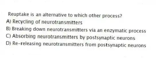Reuptake is an alternative to which other process?
A) Recycling of neurotransmitters
B) Breaking down neurotransmitters via an enzymatic process
C) Absorbing neurotransmitters by postsynaptic neurons
D) Re-releasing neurotransmitters from postsynaptic neurons