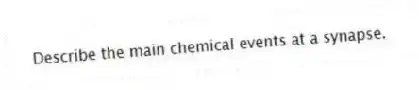 Describe the main chemical events at a synapse.