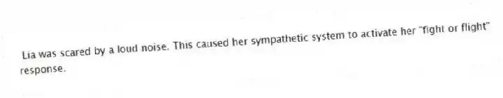 Lia was scared by a loud noise. This caused her sympathetic system to activate her "fight or flight" response.