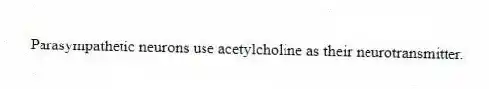 Parasympathetic neurons use acetylcholine as their neurotransmitter.
