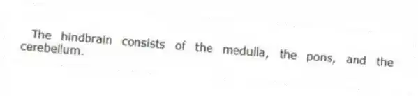 The hindbrain consists of the medulla, the pons, and the cerebellum.