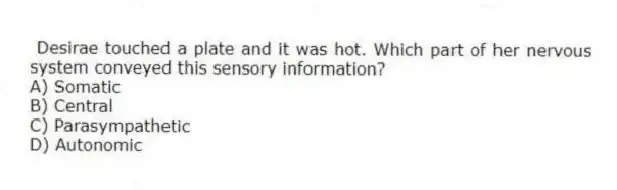 Desirae touched a plate and it was hot. Which part of her nervous system conveyed this sensory information?
A) Somatic
B) Central
C) Parasympathetic
D) Autonomic