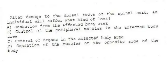 After damage to the dorsal roots of the spinal cord, an individual will suffer what kind of loss?
A) Sensation from the affected body area
B) Control of the peripheral muscles in the affected body area
C) Control of organs in the affected body area
D) Sensation of the muscles on the opposite side of the body