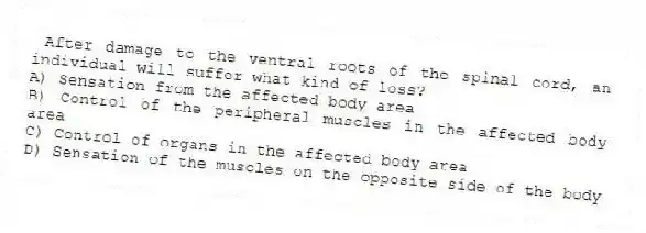 After damage to the ventral roots of the spinal cord, an individual will suffer what kind of loss?
A) Sensation from the affected body area
B) Control of the peripheral muscles in the affected body area
C) Control of organs in the affected body area
D) Sensation of the muscles on the opposite side of the body