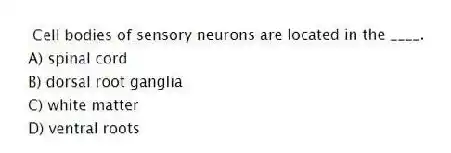Cell bodies of sensory neurons are located in the ____.
A) spinal cord
B) dorsal root ganglia
C) white matter
D) ventral roots