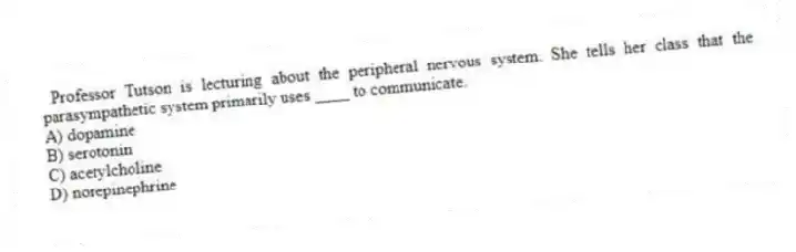 Professor Tutson is lecturing about the peripheral nervous system. She tells her class that the parasympathetic system primarily uses ____ to communicate.
A) dopamine
B) serotonin
C) acetylcholine
D) norepinephrine