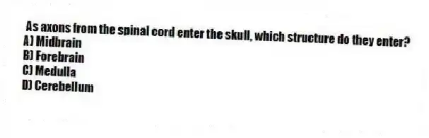 As axons from the spinal cord enter the skull, which structure do they enter?
A) Midbrain
B) Forebrain
C) Medulla
D) Cerebellum