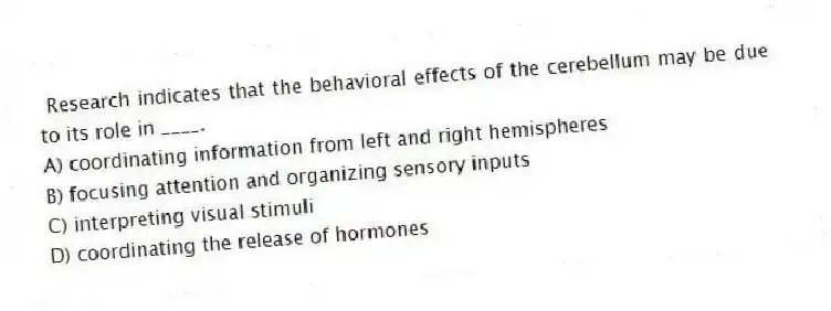 Research indicates that the behavioral effects of the cerebellum may be due to its role in ____.
A) coordinating information from left and right hemispheres
B) focusing attention and organizing sensory inputs
C) interpreting visual stimuli
D) coordinating the release of hormones
