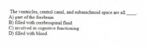 The ventricles, central canal, and subarachnoid space are all ____.
A) part of the forebrain
B) filled with cerebrospinal fluid
C) involved in cognitive functioning
D) filled with blood
