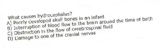 What causes hydrocephalus?
A) Poorly developed skull bones in an infant
B) Interruption of blood flow to the brain around the time of birth
C) Obstruction in the flow of cerebrospinal fluid
D) Damage to one of the cranial nerves