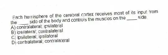 Each hemisphere of the cerebral cortex receives most of its input from the ____ side of the body and controls the muscles on the ____ side.
A) contralateral; ipsilateral
B) ipsilateral; contralateral
C) ipsilateral; ipsilateral
D) contralateral; contralateral