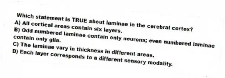 Which statement is TRUE about laminae in the cerebral cortex?
A) All cortical areas contain six layers.
B) Odd numbered laminae contain only neurons; even numbered laminae contain only glia.
C) The laminae vary in thickness in different areas.
D) Each layer corresponds to a different sensory modality.