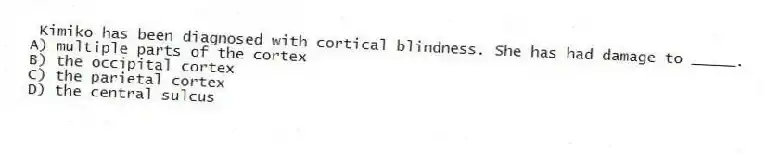 Kimiko has been diagnosed with cortical blindness. She has had damage to _____.
A) multiple parts of the cortex
B) the occipital cortex
C) the parietal cortex
D) the central sulcus