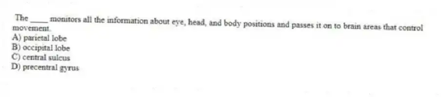 The ____ monitors all the information about eye, head, and body positions and passes it on to brain areas that control movement.
A) parietal lobe
B) occipital lobe
C) central sulcus
D) precentral gyrus