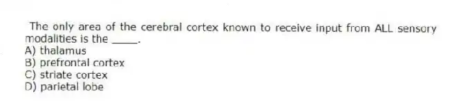 The only area of the cerebral cortex known to receive input from ALL sensory modalities is the ____.
A) thalamus
B) prefrontal cortex
C) striate cortex
D) parietal lobe
