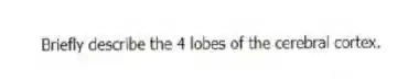 Briefly describe the 4 lobes of the cerebral cortex.