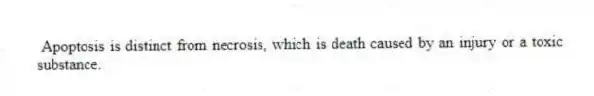 Apoptosis is distinct from necrosis, which is death caused by an injury or a toxic substance.