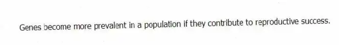Genes become more prevalent in a population if they contribute to reproductive success.