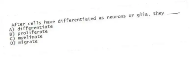 After cells have differentiated as neurons or glia, they ____.
A) differentiate
B) proliferate
C) myelinate
D) migrate